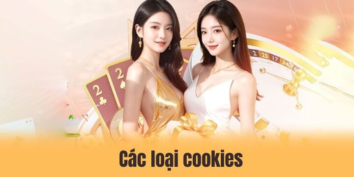 Cookies 3 Tổng hợp các loại cookie được sử dụng