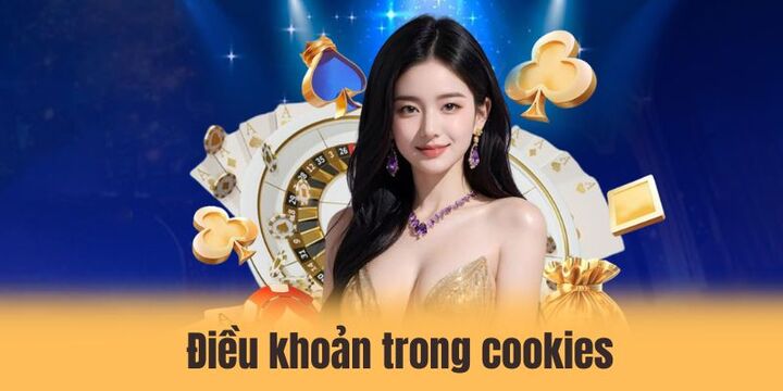 Cookies 2 3 điều khoản trong chính sách lưu trữ cookie
