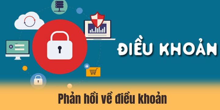 Điều khoản 3 Nhận xét người dùng về điều khoản tại thương hiệu