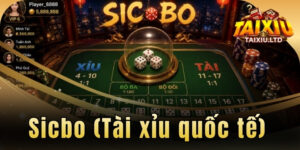 sicbo tai xiu quoc te 2026 moi nhat