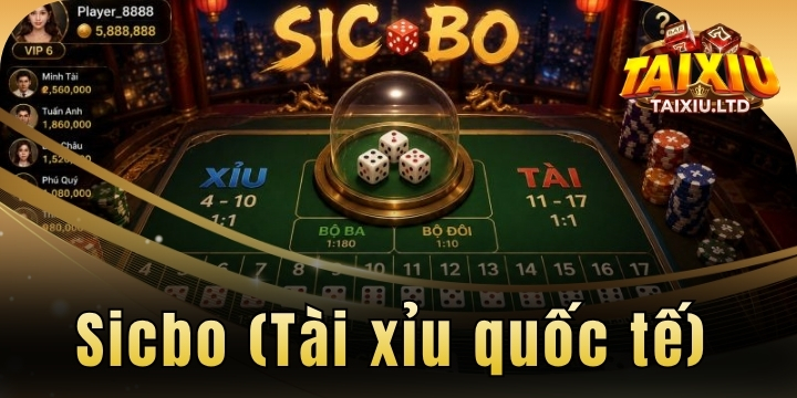 Sicbo (Tài xỉu quốc tế) - Đấu trí cùng những viên xúc xắc sắc màu 1 sicbo tai xiu quoc te 2026 moi nhat